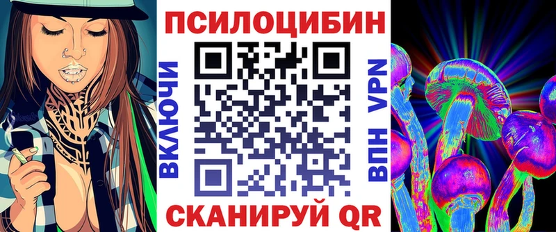 Купить где  Сунжа  Галлюциногенные грибы MAGIC MUSHROOMS 